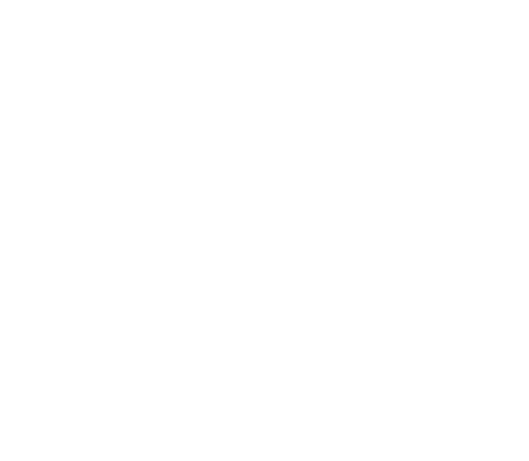 MICE MAROC